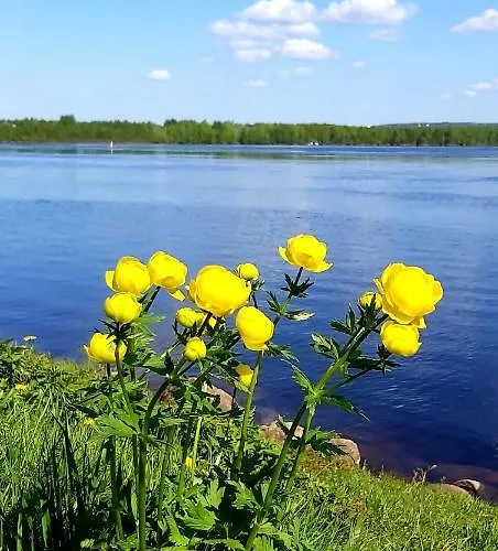 Lainaanranta Διαμέρισμα